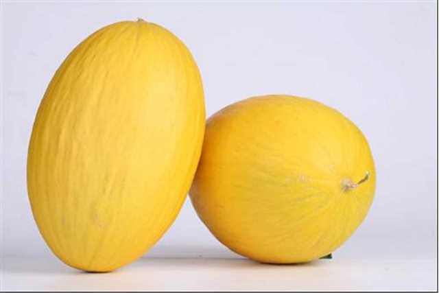 Yellow canary type melon 54-420 p3